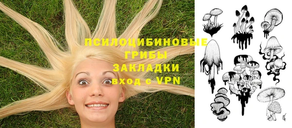 трава Алзамай