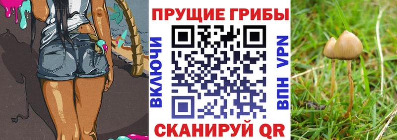 Псилоцибиновые грибы MAGIC MUSHROOMS  Вихоревка 